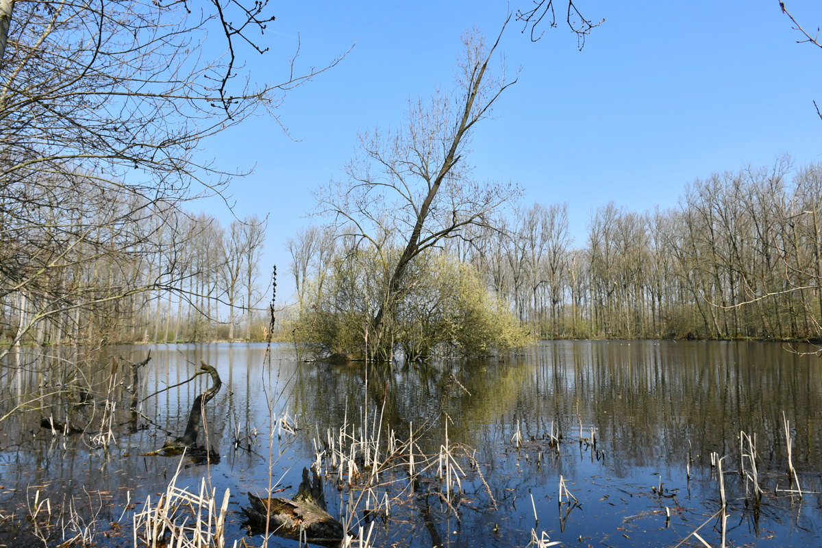 73-2023-03 de stilte.jpg